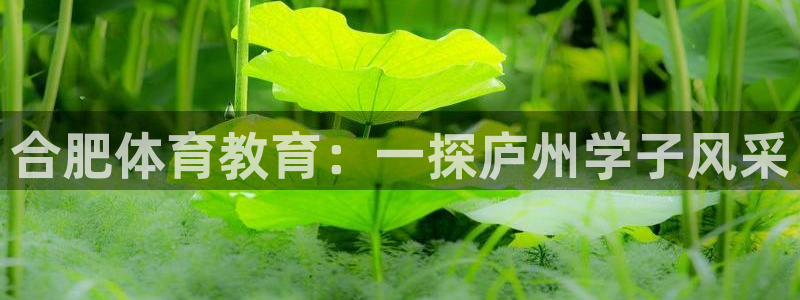 劲爆体育二打一解说员是谁：合肥体育教育：一探庐州学子风采