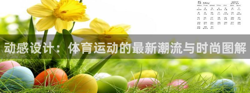 劲爆体育篮球直播免费观看完整版中文：动感设计：体育运动的最新潮流与时尚图解