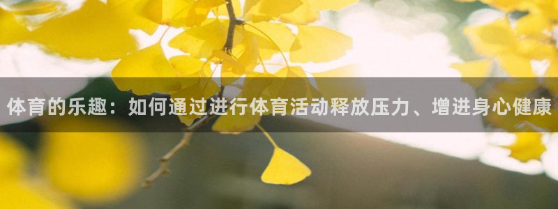 劲爆体育f1在线直播：体育的乐趣：如何通过进行体育活动释放压力、增进身心健康