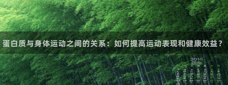 劲爆体育操：蛋白质与身体运动之间的关系：如何提高运动表现和健康效益？
