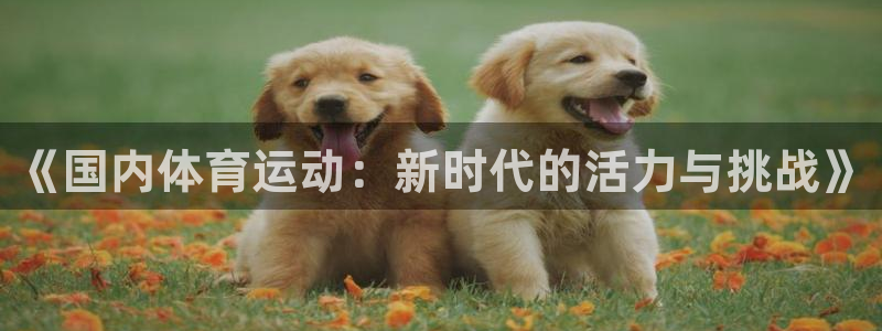 劲爆体育f1集锦背景音乐：《国内体育运动：新时代的活力与挑战》