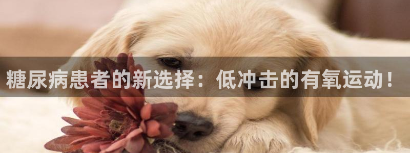 劲爆体育是哪个地方的：糖尿病患者的新选择：低冲击的有氧运动！