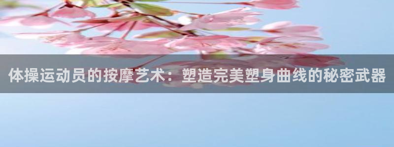 劲爆体育是哪个频道：体操运动员的按摩艺术：塑造完美塑身曲线的秘密武器