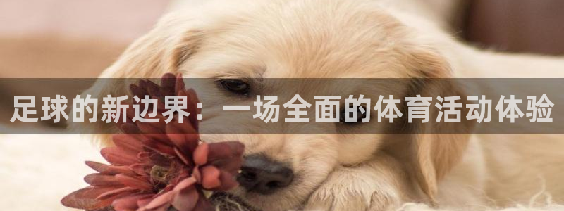 劲爆体育NBA转播安排：足球的新边界：一场全面的体育活动体验