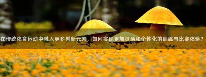 劲爆体育回看：在传统体育运动中融入更多创新元素，如何实现更加灵活和个性化的训练与比赛体验？