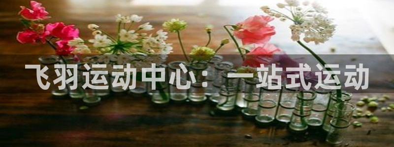 劲爆体育频道今日节目表预告：飞羽运动中心：一站式运动