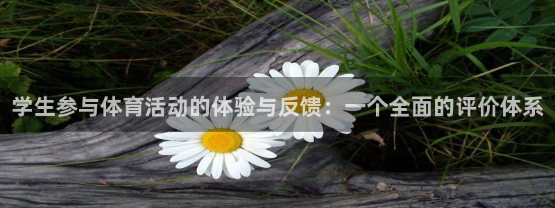劲爆体育是哪里的电视台：学生参与体育活动的体验与反馈：一个全面的评价体系